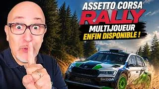 Miniature : Assetto Corsa Rally : tout savoir sur le multijoueur