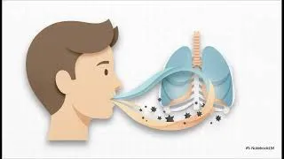 Miniature : Comment entretenir sa santé mentale au quotidien ? (Les 4 Piliers du Bien-être)