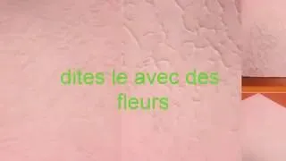 Miniature : tu as le bonjour de l'artiste saison 2018