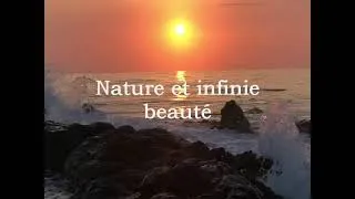 Miniature : La Nature n'a pas besoin de l'Homme.