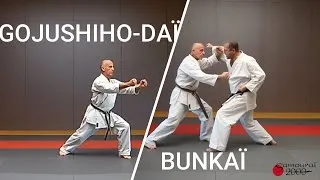 Miniature : GOJUSHIHO DAÏ BUNKAÏ