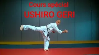 Miniature : Teaser USHIRO GERI