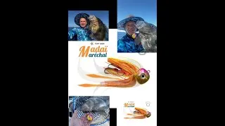 Miniature : Saint pierre  pêché au Madaï Maréchal de chez Top Fishing