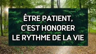 Miniature : Être patient, c’est honorer le rythme de la vie | Philosophie et Paix