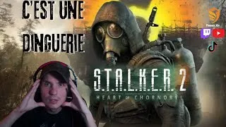 Miniature : Stalker 2 - De la survie pur et dur !