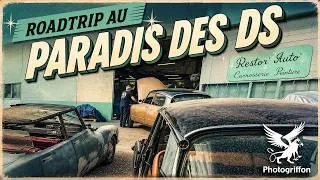 Miniature : CITROËN DS / Des Déesses à perte de vue près de Dieppe !!