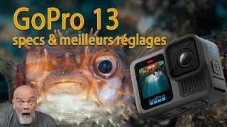 Miniature : Maîtriser les Vidéos Sous-Marines avec le GoPro Hero 13: Conseils & Réglages d'Experts