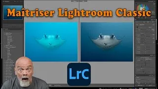 Miniature : Améliorer vos photos sous-marines avec Lightroom Classic