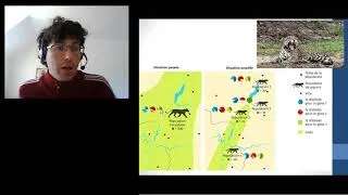 Miniature : Cours Sélection sexuelle et Dérive génétique #2nde
