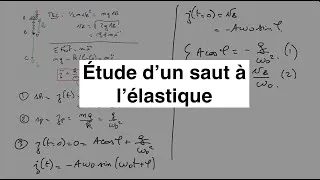 Miniature : Mécanique : exercice, étude d’un saut à l’élastique @chute @ressort @TEC @oscillations @mécanique