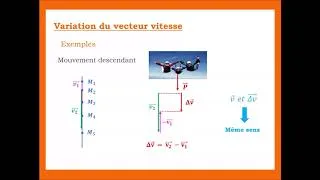 Miniature : Chute libre et variation de vitesse