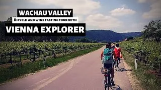 Miniature : WACHAU VALLEY wine tasting Bike tour with VIENNA EXPLORER