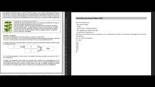 Miniature : Correction brevet blanc 2025