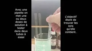 Miniature : Tests des ions