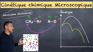 Miniature : Cinétique microscopique - Terminale spécialité physique-chimie