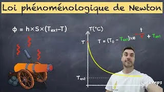 Miniature : Cours Loi phénoménologique de Newton - Terminale spécialité physique