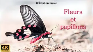 Miniature : Fleurs et papillons