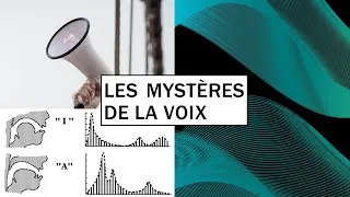 Miniature : Les mystères de la voix (par Yves Gossuin)