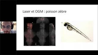 Miniature : Cours 8 : Biophysique