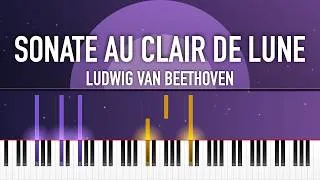Miniature : Ludwig van Beethoven - Sonate au Clair de Lune (Moonlight) (Tutoriel piano)