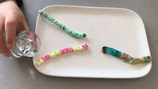 Miniature : Petit ver de terre : expérience pour enfants