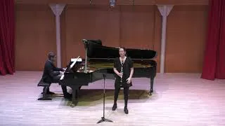 Miniature : J. Brahms: Clarinet Sonata n°2 (II. Allegro Appassionato)