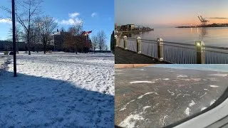 Miniature : VLOG THESE CANADA #3: Ethique animale en toxicologie, scholarships et travail du mois de Novembre