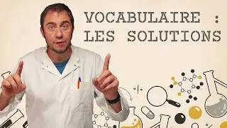 Miniature : Vocabulaire : les solutions