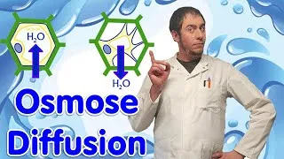 Miniature : Osmose & diffusion