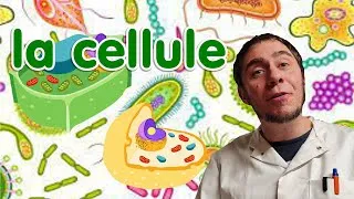Miniature : La cellule