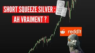 Miniature : Hedge Fund dépassés par la hausse de l'Argent : vraiment ?