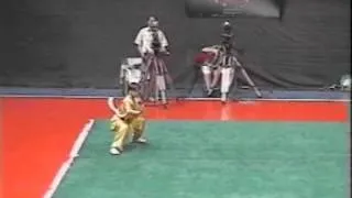 Miniature : euros 2004 wu shu