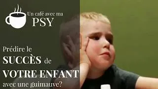 Miniature : Comment prédire le succès de votre enfant avec une guimauve?
