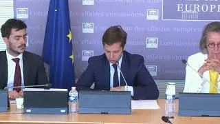 Miniature : En Commission : Communication sur les Fake News