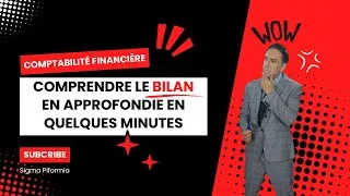 Miniature : le bilan comptable en quelques minutes