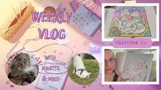 Miniature : VLOG 23 : Du cosy colo, du mystère et un peu de hors mystère 💛