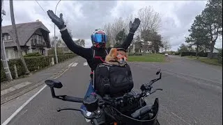 Miniature : 2ème vlog en moto et plus avec Pika 🐶