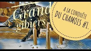 Miniature : A LA CONQUÊTE DU CHAMOIS #1 (500 ABONNÉS !!! MERCI !!!).