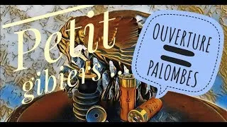 Miniature : CHASSE AUX PALOMBES (PIGEON RAMIERS):Ouverture 2018/2019