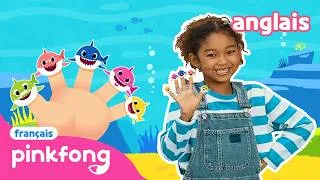 Miniature : 🔄 Shark Finger Family en anglais | +Comptines | Pinkfong Bébé Requin ! Chansons pour Enfants