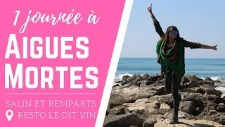 Miniature : VLOG / 1 journée à AIGUES MORTES