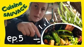 Miniature : Je cuisine des PLANTES SAUVAGES dans ma Vélo-Roulotte ..