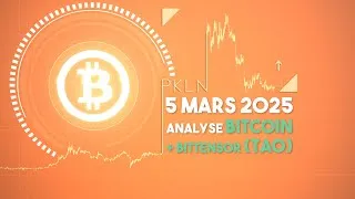 Miniature : Analyse Bitcoin + TAO du 5 mars 2025