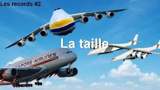 Miniature : Les records #2  - la taille