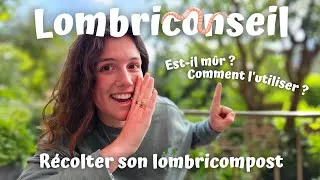 Miniature : Lombriconseil n°2 : Récolter son lombricompost