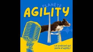 Miniature : Retour sur l'Alpine Agility Open : la compète qui donne envie de faire ses valises