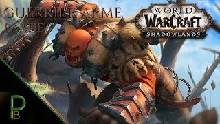 Miniature : World of Warcraft ! Le leveling du Guerrier Arme. Partie 3.