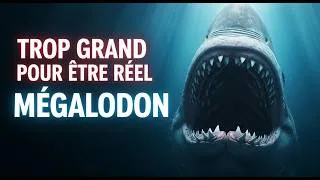 Miniature : Le Mégalodon : Le Vrai Monstre des Océans qui a Façonné la Vie sur Terre
