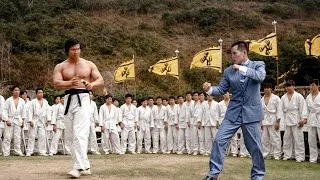 Miniature : Voici Ce qui s'est VRAIMENT passé quand Jet Li a DÉFIÉ Bolo Yeung |Kung Fu VS Maître du Tai Chi
