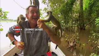 Miniature : Colombie sauvage sur PLANÈTEPLUS CANADA